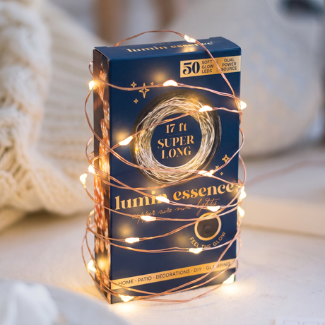 Lumin Essence Copper Wire Mini Fairy Lights