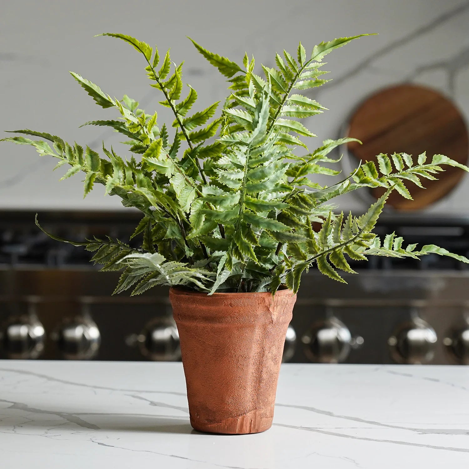 fern planter indoor Faux Fern in Terracotta Pot