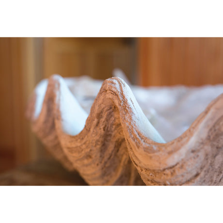 Oversized Magnesia Seashell Bowl