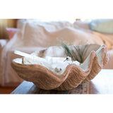 Oversized Magnesia Seashell Bowl
