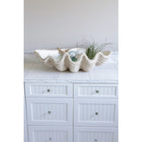 Oversized Magnesia Seashell Bowl
