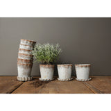 Distressed Zinc Metal Planter with Pleated Saucer