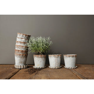 Distressed Zinz Metal Planter with Pleated Saucer