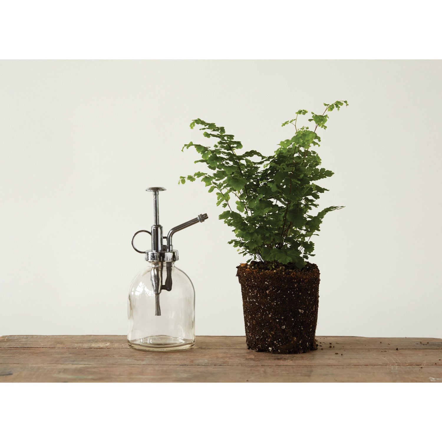 Creative Co-Op Plant Mister