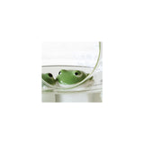 Stoneware Ceramic Floating Green Frog