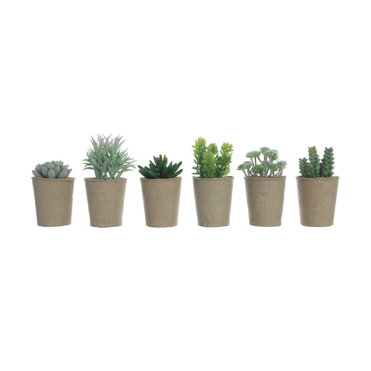 faux succulents in paper pots by creative co-op