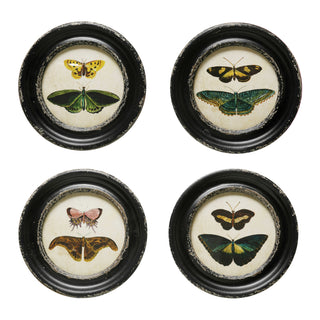 butterfly and moth round picture frames by creative co-op