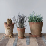 Distressed Terracotta Finish Cement Planter with Saucer