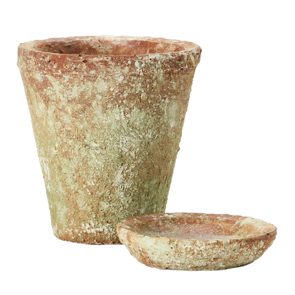 Distressed Terracotta Finish Cement Planter with Saucer