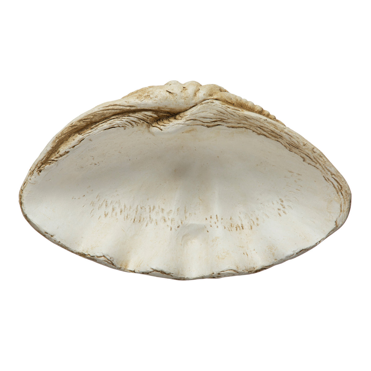 Large Clamshell Centerpiece Bowl