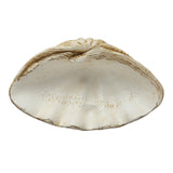 Large Clamshell Centerpiece Bowl