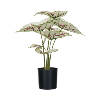 faux caladium plant in pot by Creative Co-Op