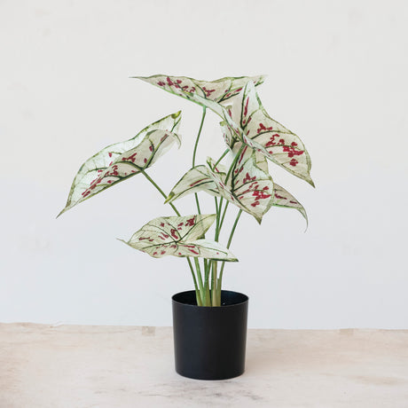 faux elephant ear plant by creative co-op