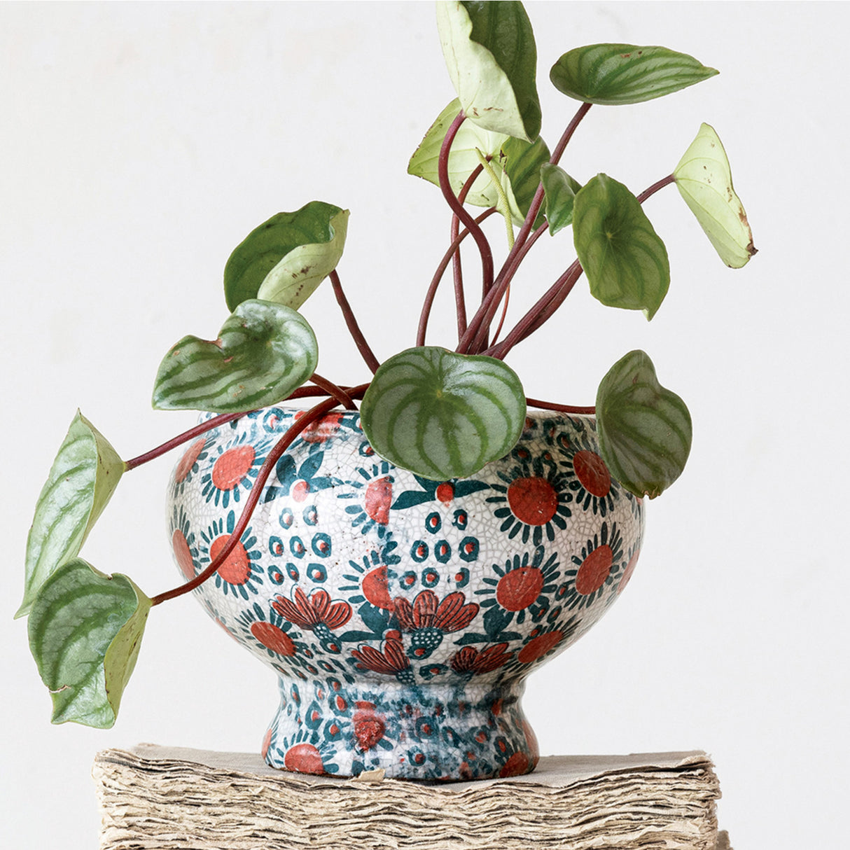 Floral Inspired Crackle Glaze Terracotta Footed Planter