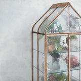 Acrylic & Metal Terrarium Display on Wheels