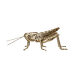 Gold Grasshopper Decorative Figurine