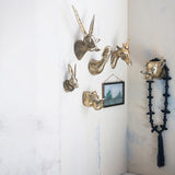 Brass Finish Cast Aluminum Leopard Head with Eyeglasses Wall Mount