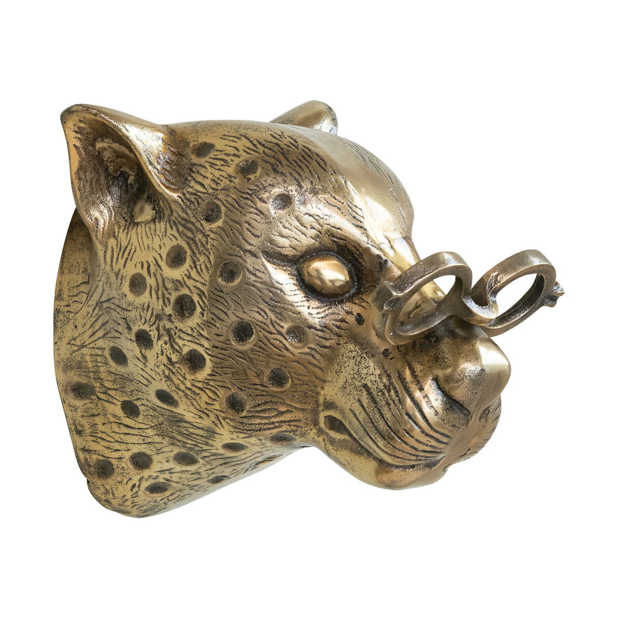 Brass Finish Cast Aluminum Leopard Head with Eyeglasses Wall Mount