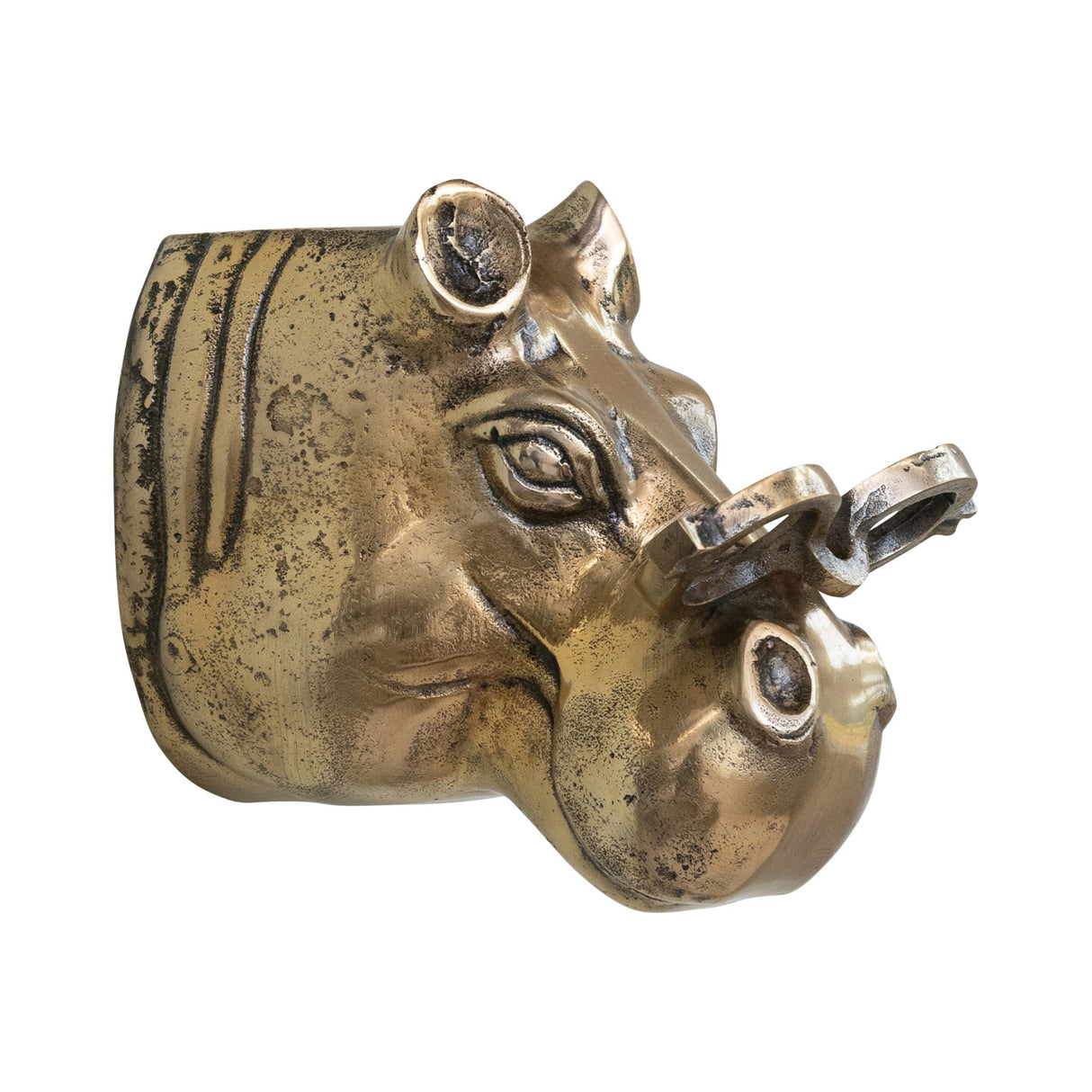 Brass Finish Cast Aluminum Hippo Head with Eyeglasses Wall Mount
