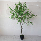 Realistic Faux Birch Tree in Plastic Pot | 98.5" Tall