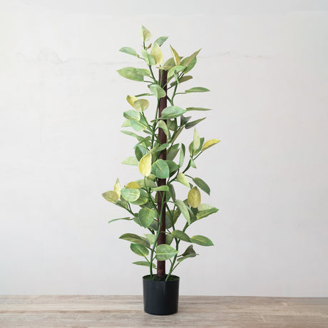 Faux Golden Pothos Floor Plant