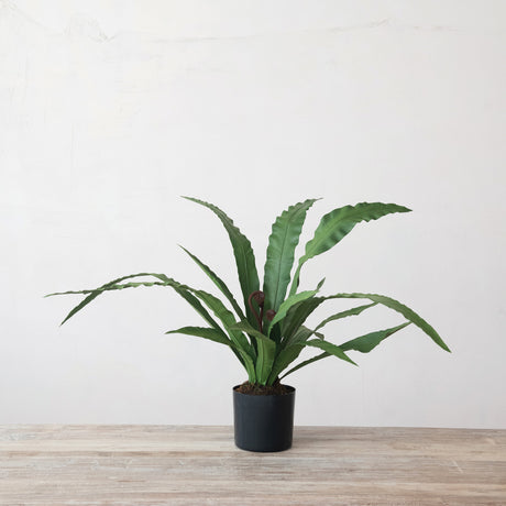 Faux Bird’s Nest Fern Floor Plant