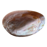 Natural Shell Footed Dish