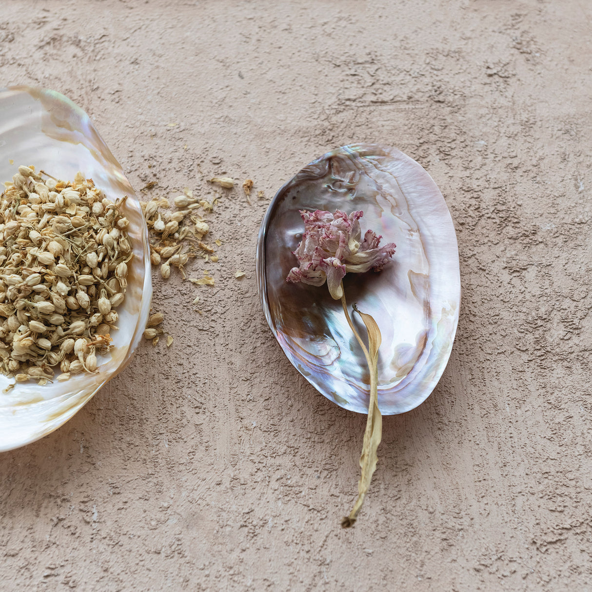 Natural Shell Footed Dish
