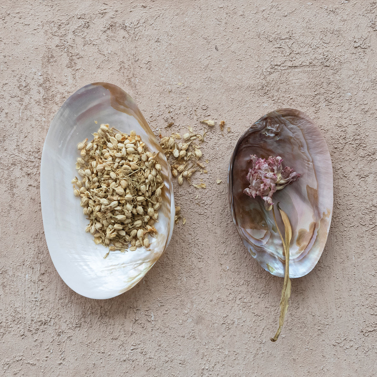 Natural Shell Footed Dish