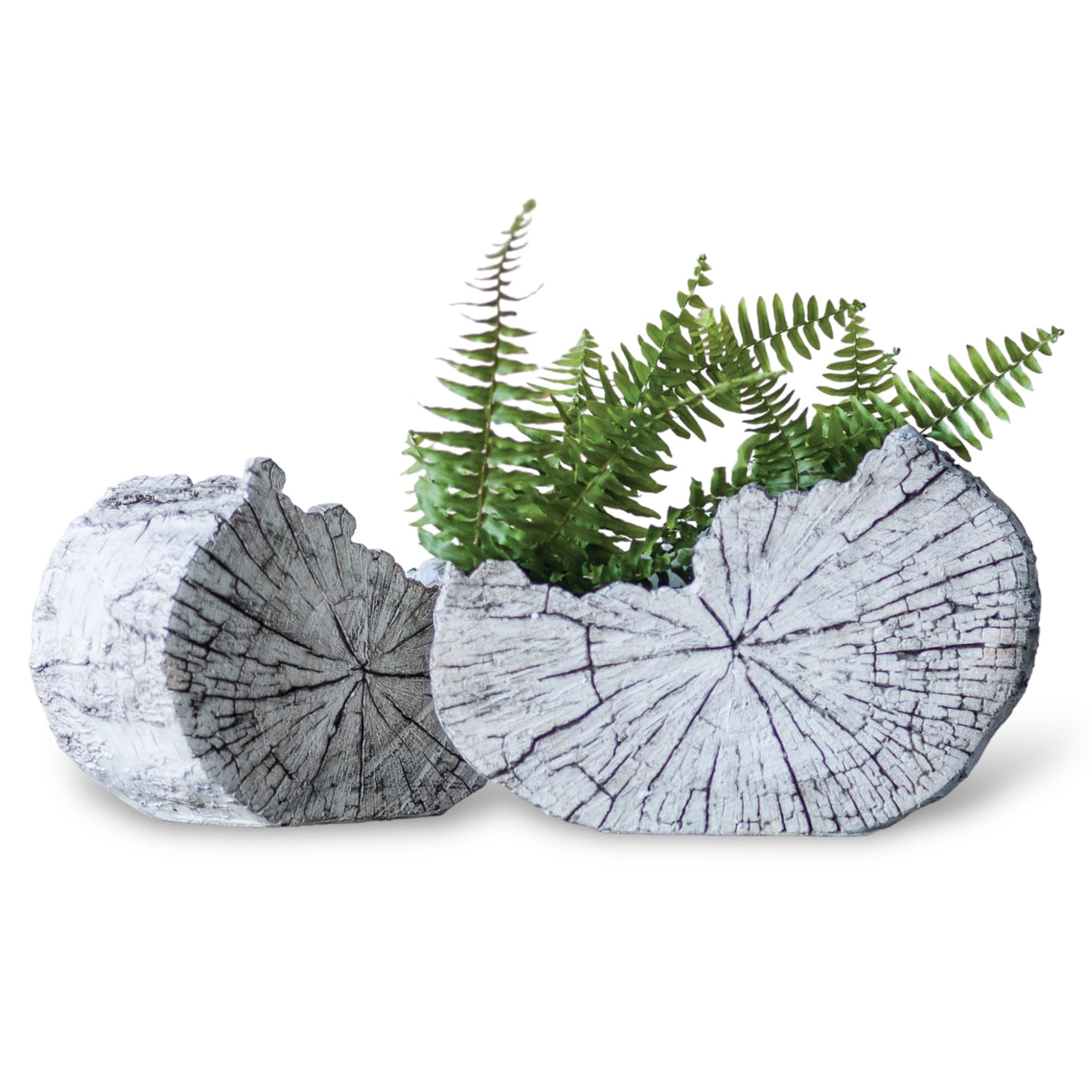 fake wood slice concrete planter by blue ocean