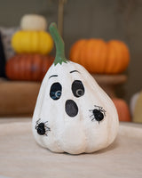 Paper Mache Frightened, Ghostly, & Grouchy Gourds