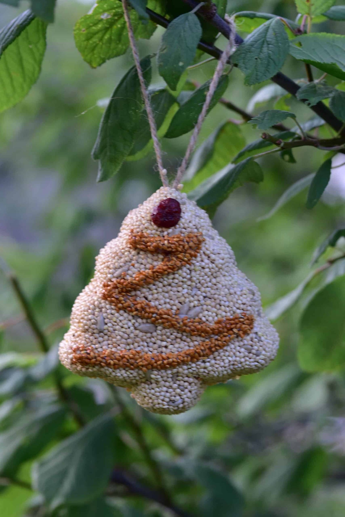 Christmas Cookie Bird Seed Treat | Mr. Bird