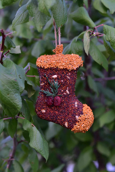 Christmas Cookie Bird Seed Treat | Mr. Bird