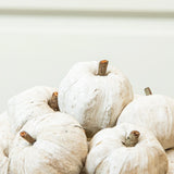 Bag of Dried Miniature Raffia Faux Pumpkins (Set of 15)