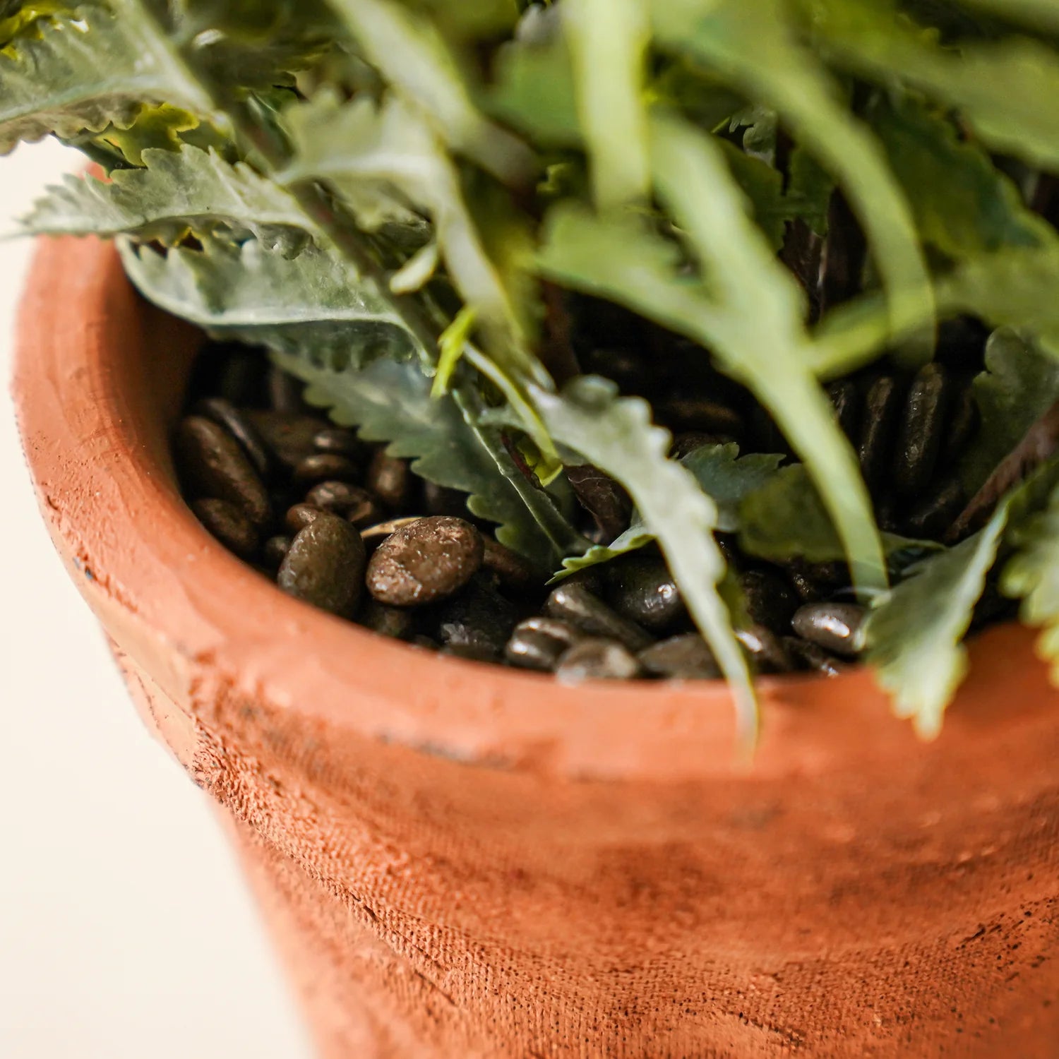 faux plant in terracotta pot Faux Fern in Terracotta Pot