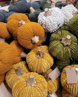 Cotton Bouclé & Velvet Pumpkins with Wood Stems