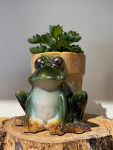 Reactive Glaze Stoneware Green Frog Planter