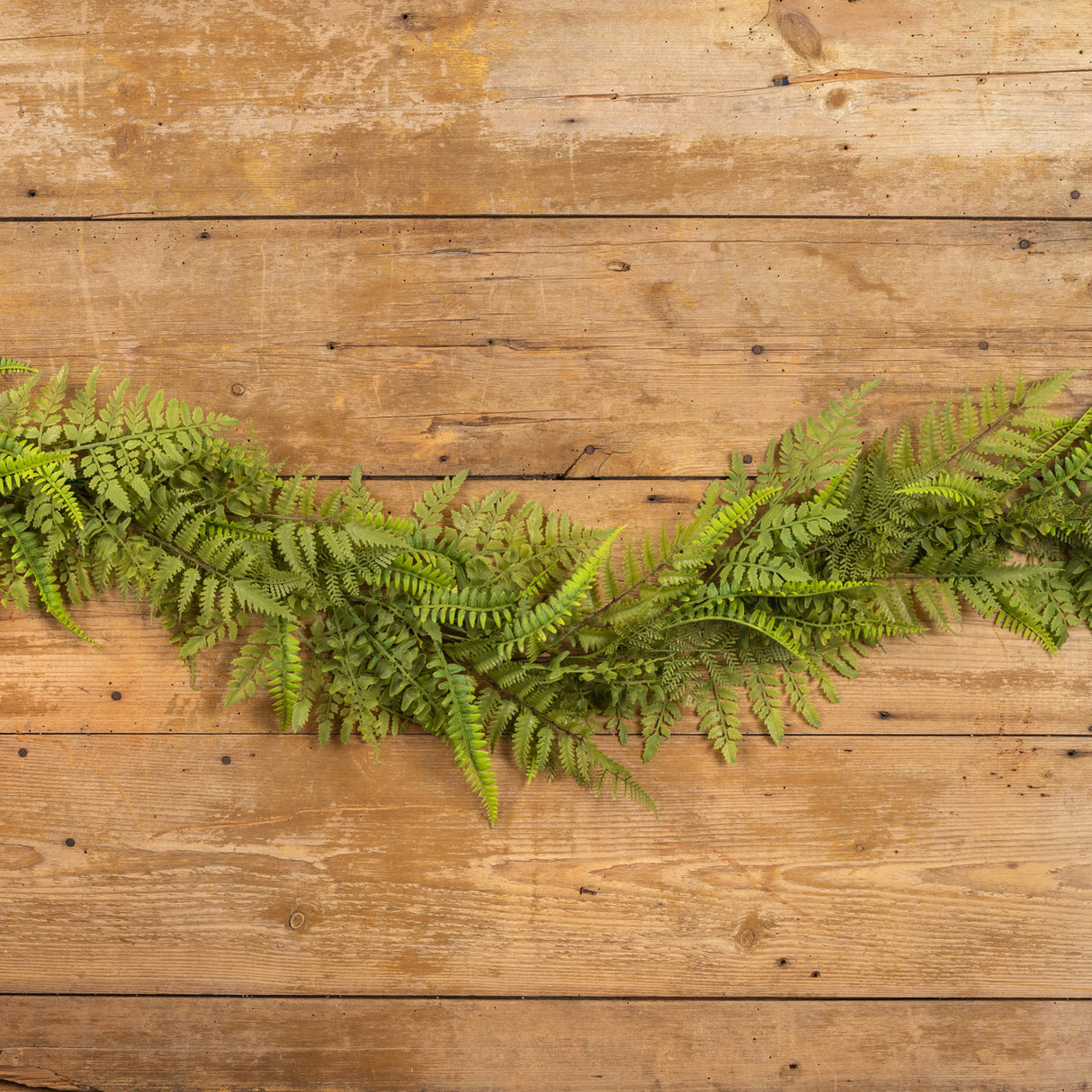 Green Mixed Fern Garland