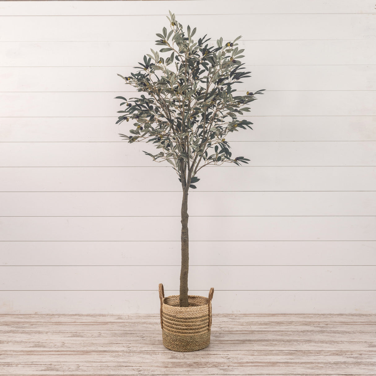 Potted 6' Faux Olive Tree