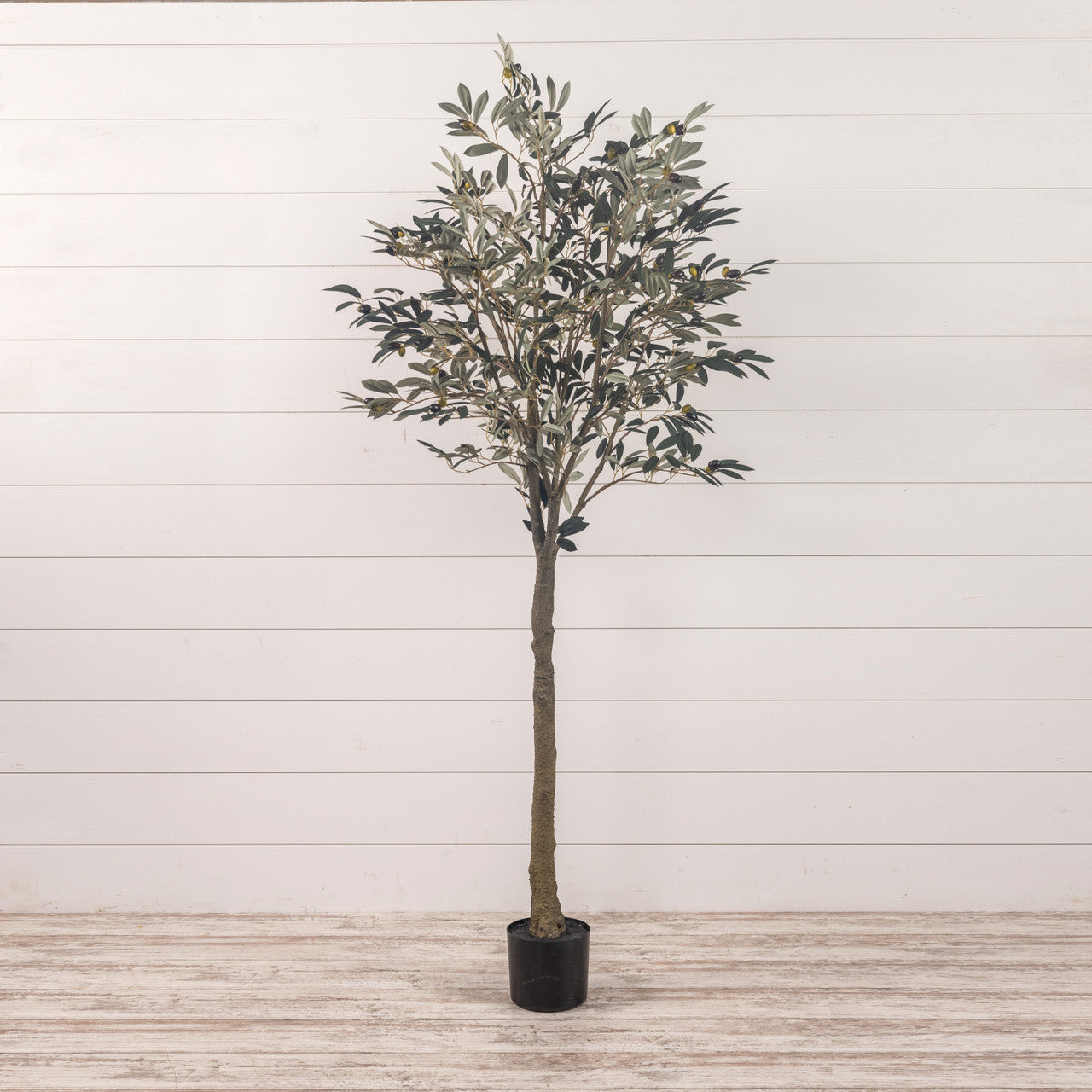 faux olive plant in pot Antique Farmhouse 6 Foot Faux Potted Tree in Olive