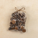 Bag of Snowy Pinecones