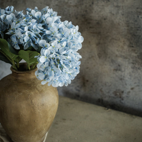 Light Blue Hydrangea Stem