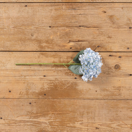 Light Blue Hydrangea Stem