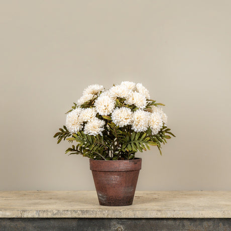 Faux Potted Cream Mums