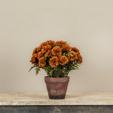 Faux Potted Brown Mums