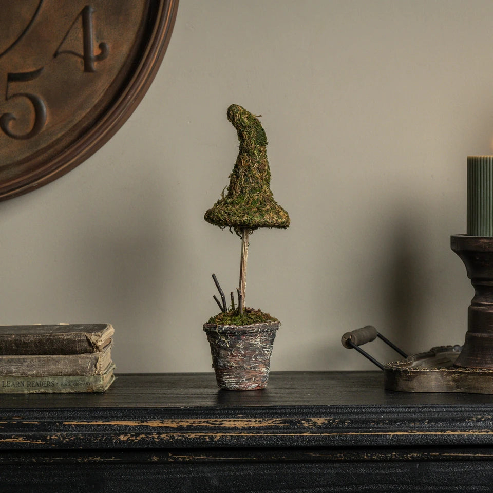 Potted Moss Witch’s Hat Topiary