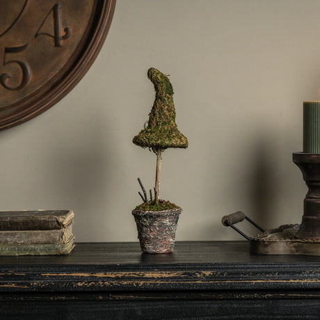 Potted Moss Witch’s Hat Topiary