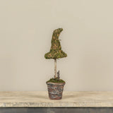 Potted Moss Witch’s Hat Topiary