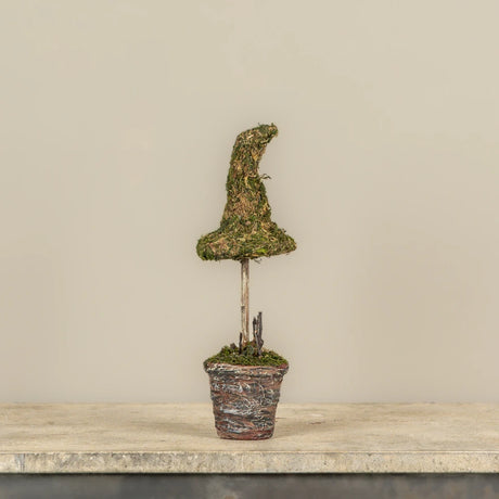 Potted Moss Witch’s Hat Topiary