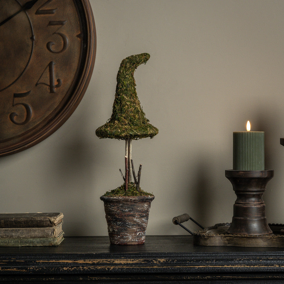 Potted Moss Witch’s Hat Topiary